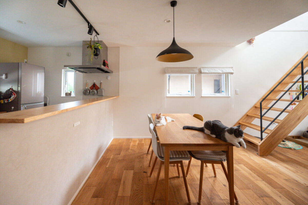 広島の注文住宅アイデザインホーム　猫と暮らす家