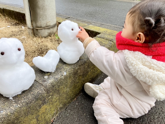 広島・岡山・山口・兵庫・大阪・奈良・三重・岐阜・愛知の注文住宅はアイデザインホーム｜冬の完成見学会