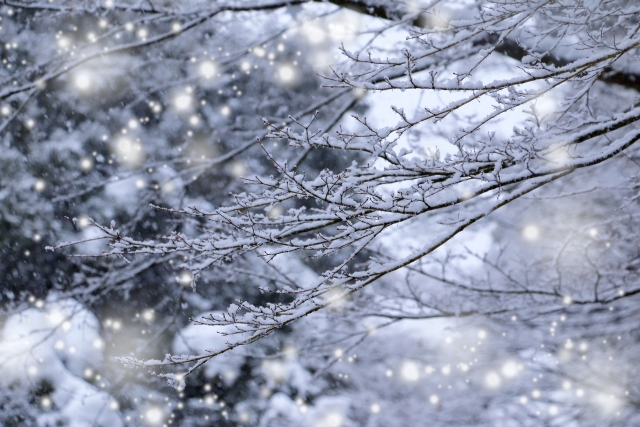 広島・岡山・山口・兵庫・大阪・奈良・三重・岐阜・愛知の注文住宅はアイデザインホーム｜基礎断熱の足元の暖かさ
