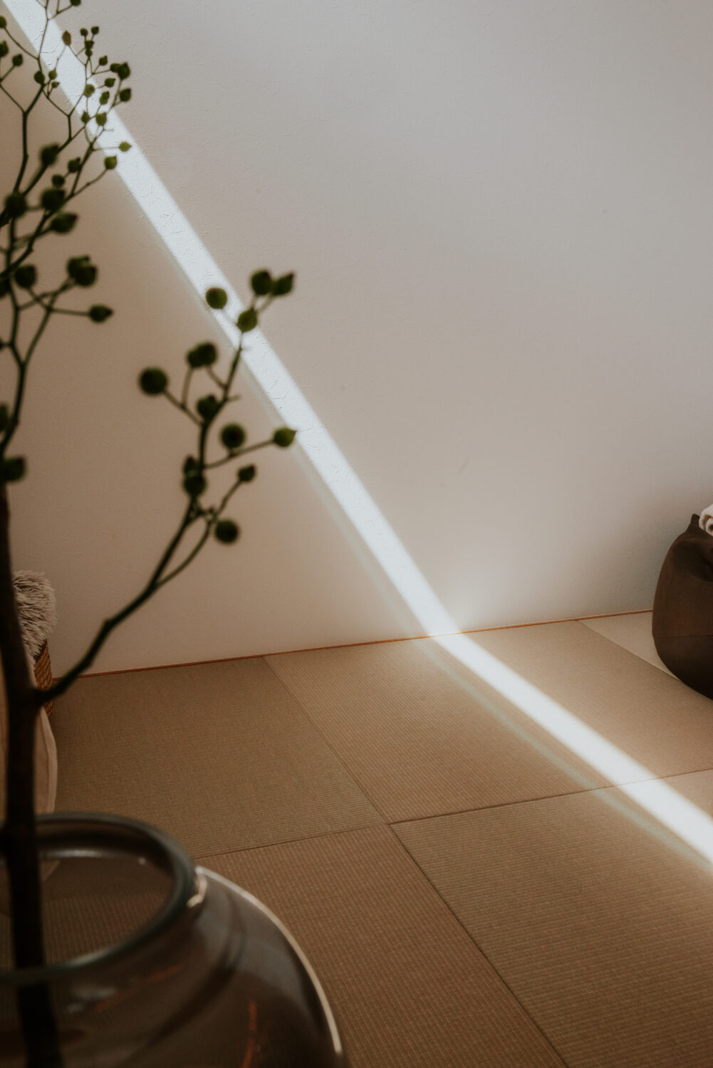 京都の注文住宅はアイデザインホーム | 京都府木津川市で新築されたオーナー様にインタビューさせていただきました。 直感を信じて選んだ家。理想のキッチンと平屋の暮らし